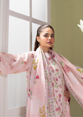 SURMAI 3 peice Soft Rose Blush