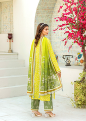 ELAYA 3 peice Graceful Traditions